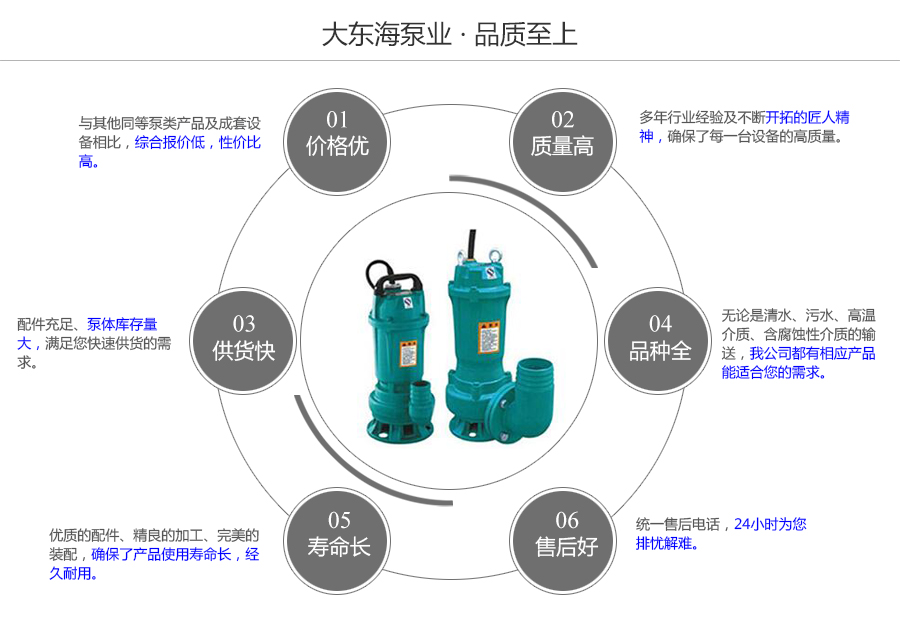 大東海泵業(yè)潛水電泵質(zhì)量保證圖