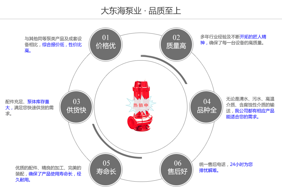 大東海泵業(yè)耐高溫排污泵質量保證圖