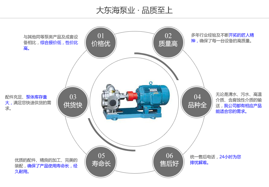 大東海泵業(yè)不銹鋼齒輪泵質(zhì)量保證圖